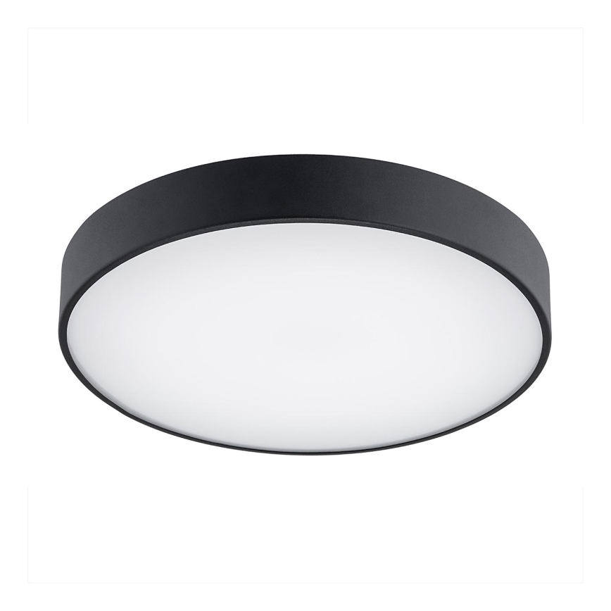 Argon 8348 - LED Ceiling light TIAMO LED/22W/230V 4000K black