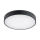 Argon 8348 - LED Ceiling light TIAMO LED/22W/230V 4000K black