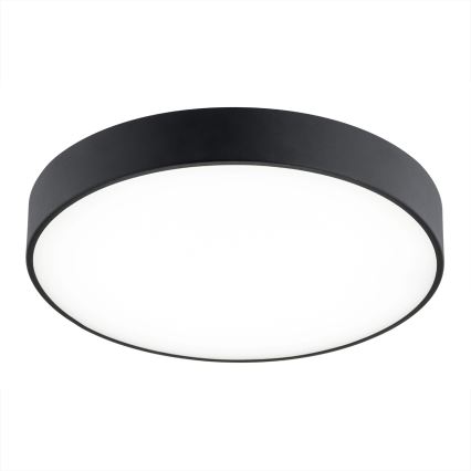 Argon 8348 - LED Ceiling light TIAMO LED/22W/230V 4000K black