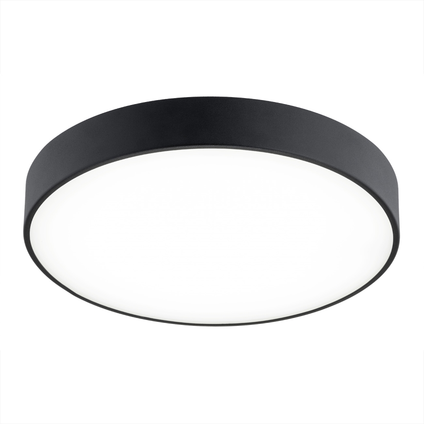 Argon 8348 - LED Ceiling light TIAMO LED/22W/230V 4000K black