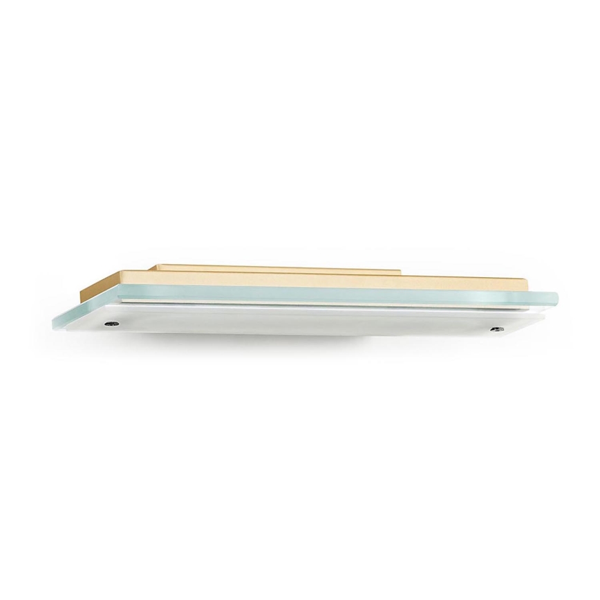 Argon 8363 - LED Wall light VELO LED/7,2W/230V 3000K gold/clear