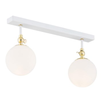 Argon 845 - Bathroom surface-mounted chandelier LATINA 2xE14/40W/230V IP44