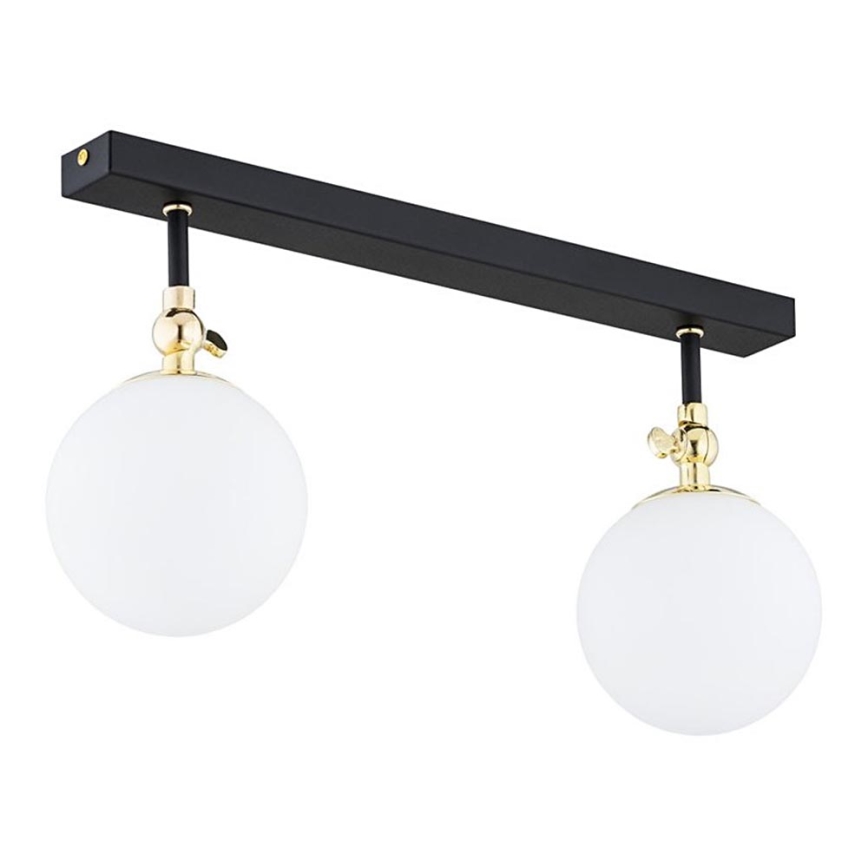Argon 846 - Bathroom surface-mounted chandelier LATINA 2xE14/40W/230V IP44