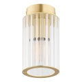 Argon 8501 - Ceiling light HAMPTON 1xE14/7W/230V gold