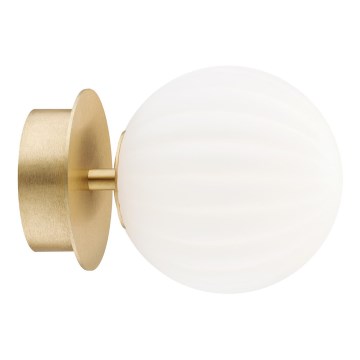 Argon 8504 - Wall light PALOMA 1xE14/7W/230V gold/white