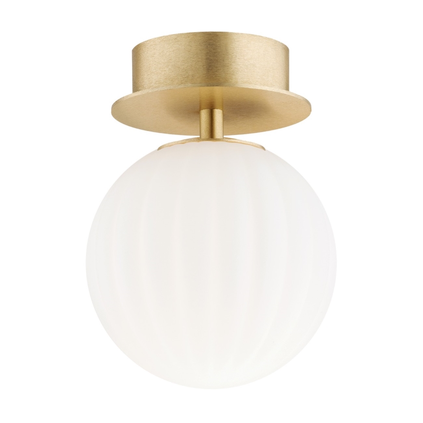 Argon 8504 - Wall light PALOMA 1xE14/7W/230V gold/white