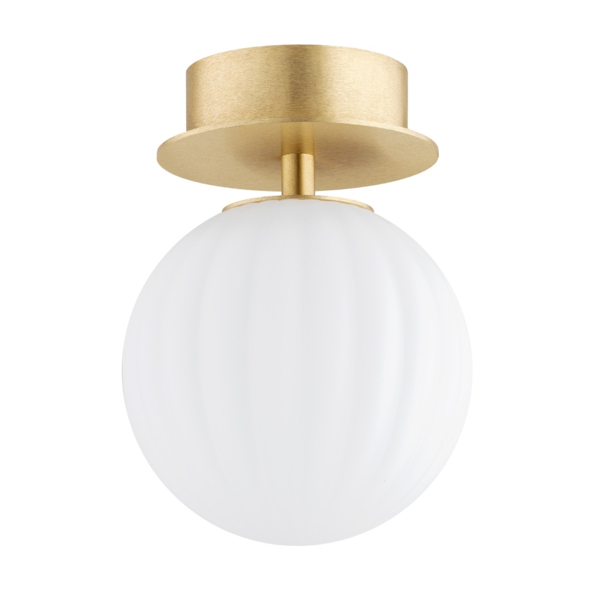 Argon 8504 - Wall light PALOMA 1xE14/7W/230V gold/white