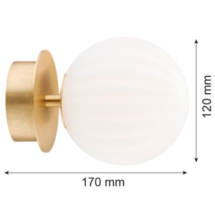 Argon 8504 - Wall light PALOMA 1xE14/7W/230V gold/white