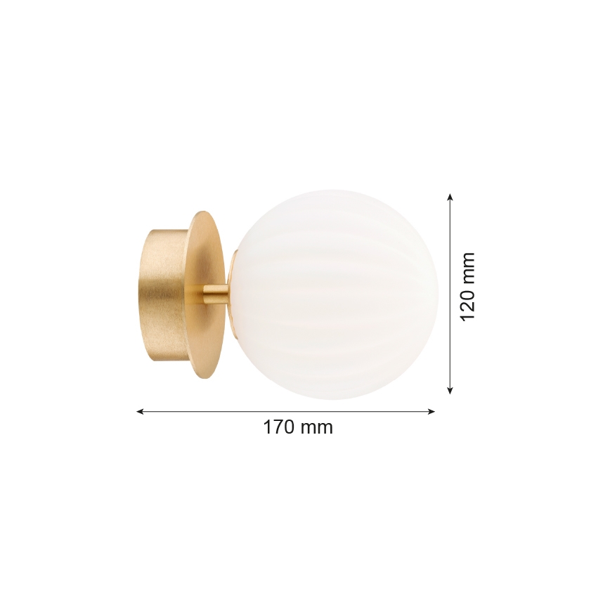 Argon 8504 - Wall light PALOMA 1xE14/7W/230V gold/white
