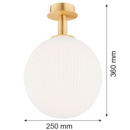 Argon 8505 - Ceiling light PALOMA 1xE27/15W/230V gold/white