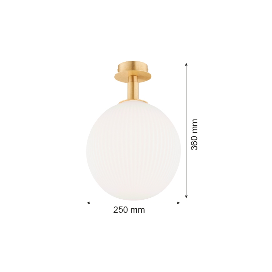 Argon 8505 - Ceiling light PALOMA 1xE27/15W/230V gold/white