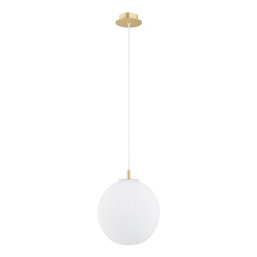 Argon 8507 - Chandelier on a string PALOMA 1xE27/15W/230V d. 25 cm gold/white