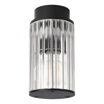 Argon 8773 - Outdoor ceiling light NORFOLK 1xE27/15W/230V IP44 black
