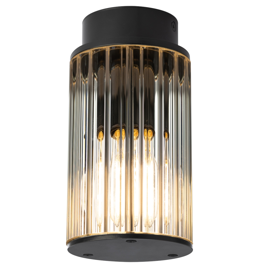 Argon 8773 - Outdoor ceiling light NORFOLK 1xE27/15W/230V IP44 black