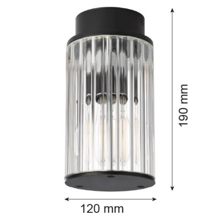 Argon 8773 - Outdoor ceiling light NORFOLK 1xE27/15W/230V IP44 black