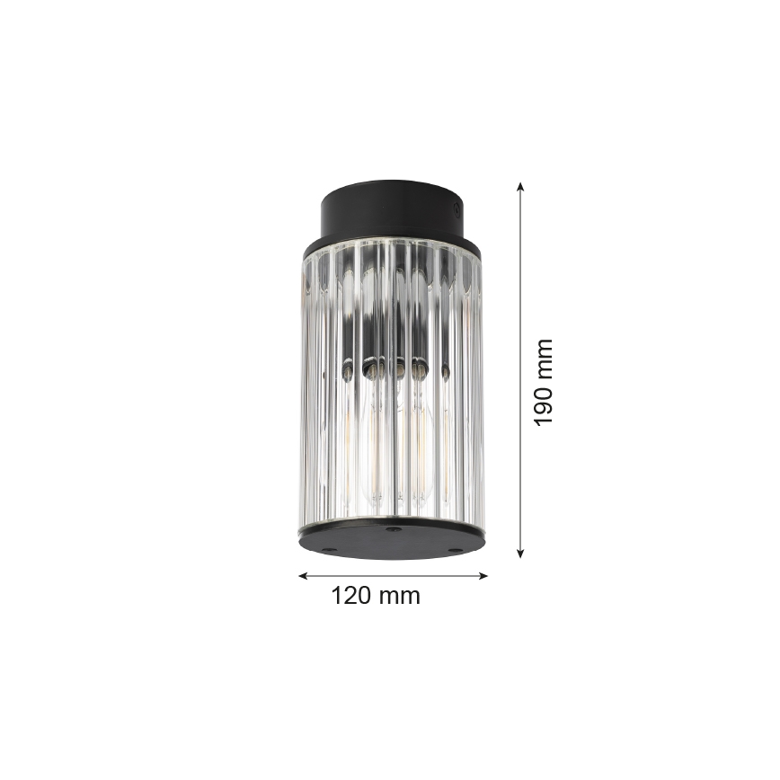 Argon 8773 - Outdoor ceiling light NORFOLK 1xE27/15W/230V IP44 black