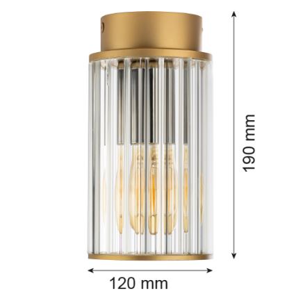 Argon 8774 - Outdoor ceiling light NORFOLK 1xE27/15W/230V IP44 gold