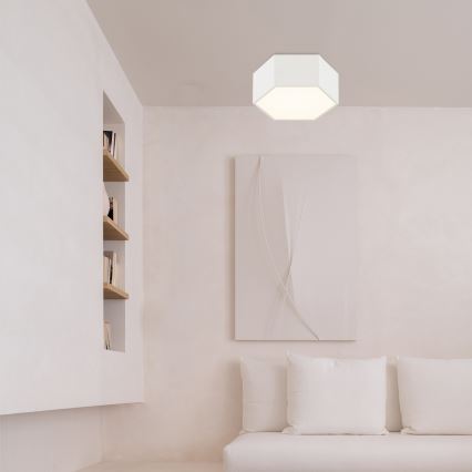 Argon 8781 - LED Ceiling light LIBERO LED/12W/230V 3000K white