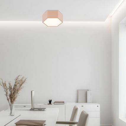 Argon 8782 - LED Ceiling light LIBERO LED/12W/230V 3000K creamy