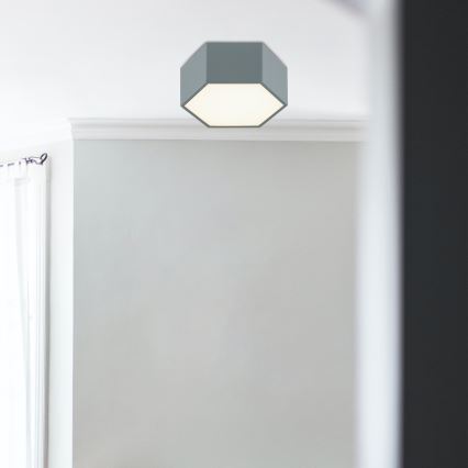 Argon 8784 - LED Ceiling light LIBERO LED/12W/230V 3000K grey
