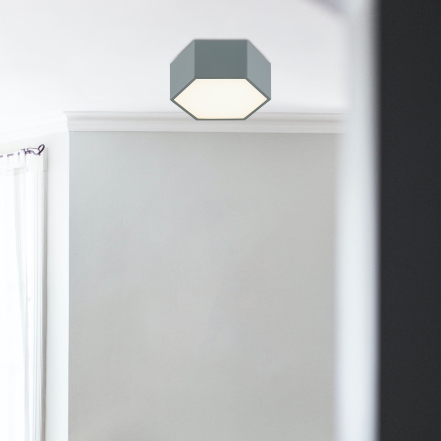 Argon 8784 - LED Ceiling light LIBERO LED/12W/230V 3000K grey