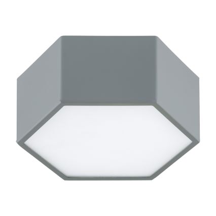 Argon 8784 - LED Ceiling light LIBERO LED/12W/230V 3000K grey
