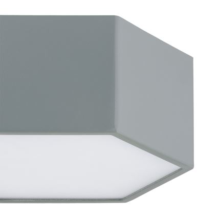 Argon 8784 - LED Ceiling light LIBERO LED/12W/230V 3000K grey