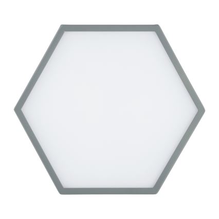 Argon 8784 - LED Ceiling light LIBERO LED/12W/230V 3000K grey