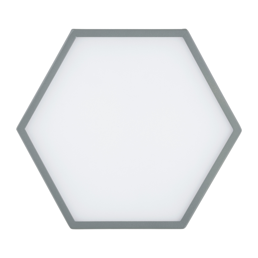 Argon 8784 - LED Ceiling light LIBERO LED/12W/230V 3000K grey