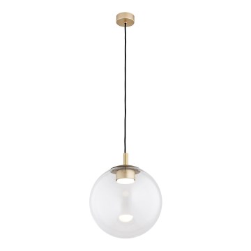 Argon 8828 - Chandelier on a string SACRAMENTO 1xGX53/8W/230V clear/gold