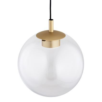 Argon 8828 - Chandelier on a string SACRAMENTO 1xGX53/8W/230V clear/gold