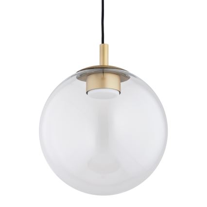 Argon 8828 - Chandelier on a string SACRAMENTO 1xGX53/8W/230V clear/gold