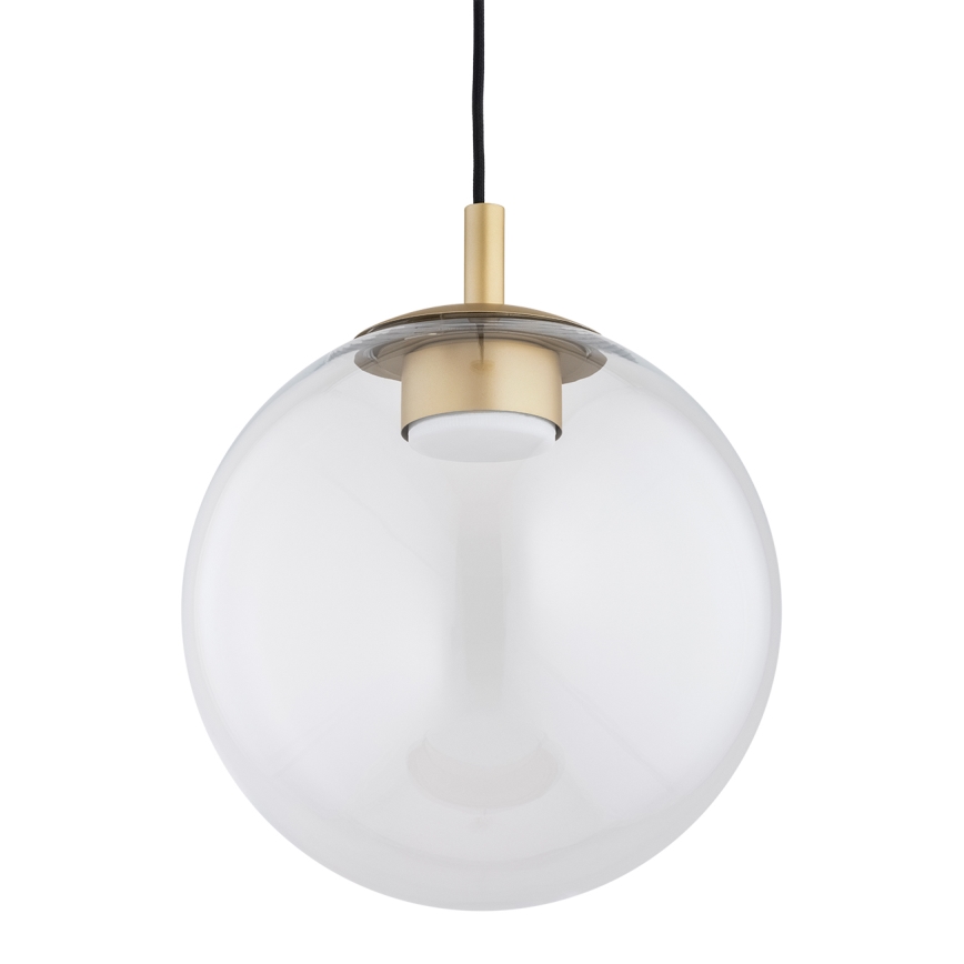 Argon 8828 - Chandelier on a string SACRAMENTO 1xGX53/8W/230V clear/gold