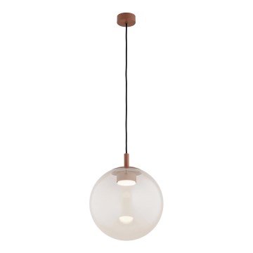 Argon 8829 - Chandelier on a string SACRAMENTO 1xGX53/8W/230V clear/brown