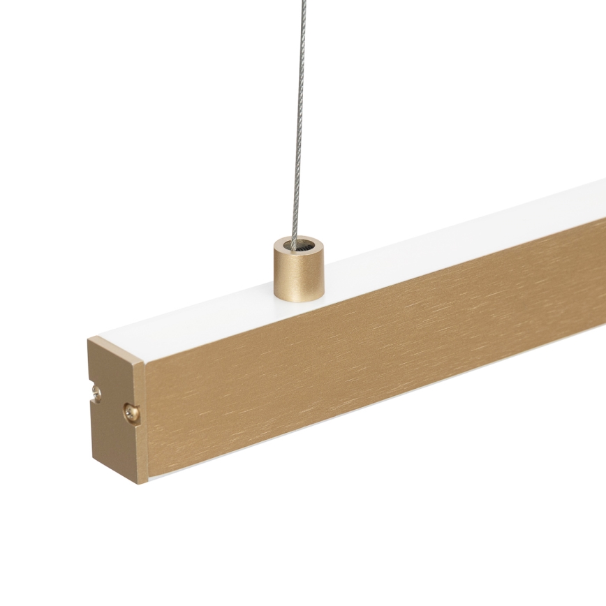 Argon 8836 - LED Chandelier on a string MIAMI LED/37W/230V 3000K gold