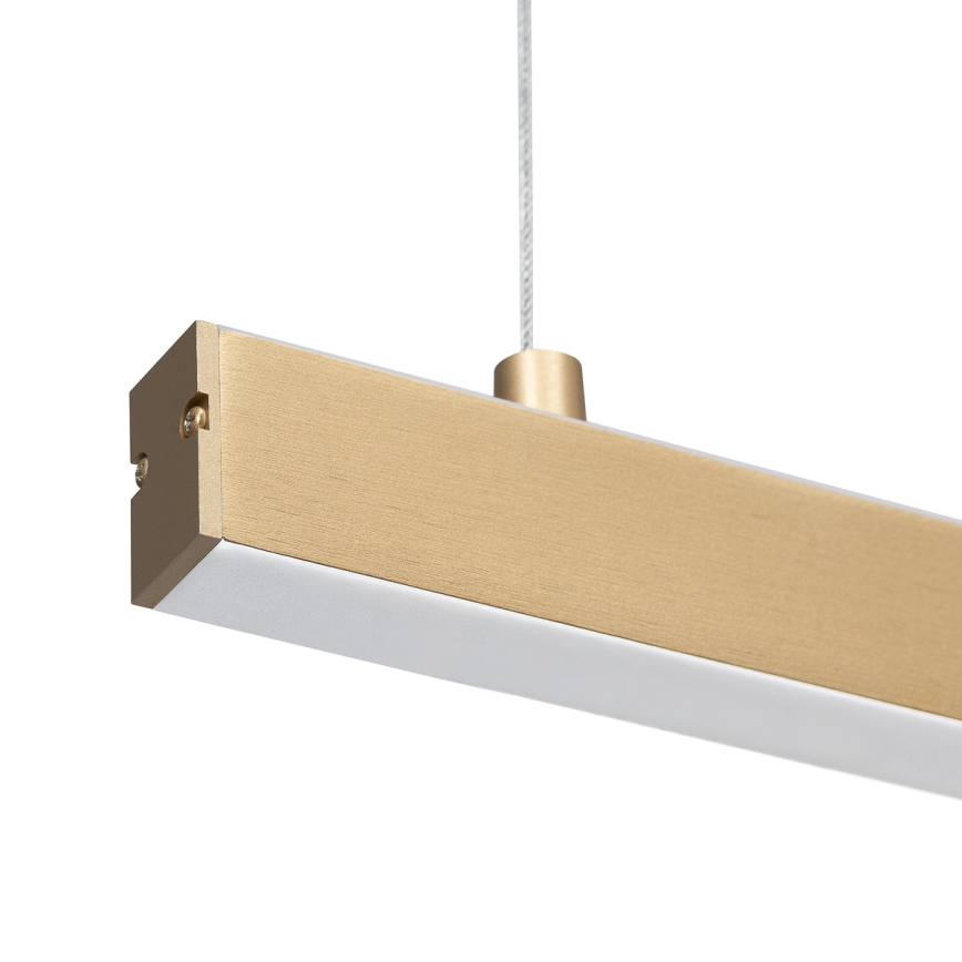 Argon 8836 - LED Chandelier on a string MIAMI LED/37W/230V 3000K gold