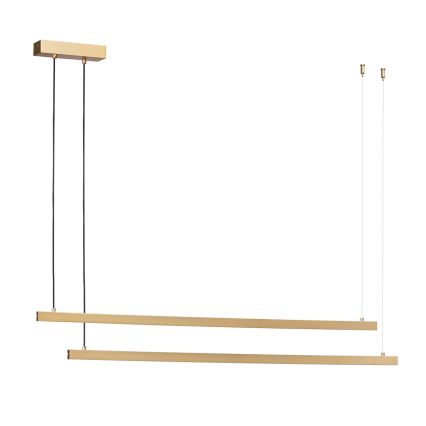 Argon 8839 - LED Chandelier on a string MIAMI LED/74W/230V 3000K gold