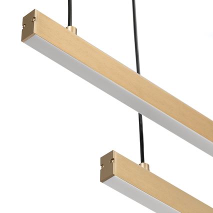 Argon 8839 - LED Chandelier on a string MIAMI LED/74W/230V 3000K gold
