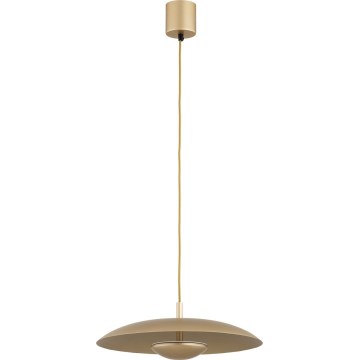 Argon 8869 - LED Cable Pendant BOLTON LED/12,5W/230V 3000K Gold