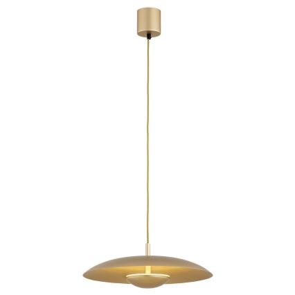 Argon 8869 - LED Cable Pendant BOLTON LED/12,5W/230V 3000K Gold