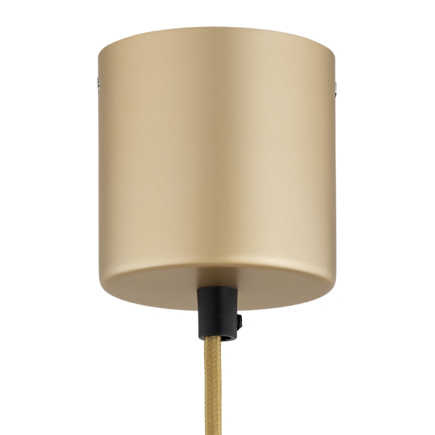 Argon 8869 - LED Cable Pendant BOLTON LED/12,5W/230V 3000K Gold