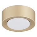 Argon 8903 - ELORA ceiling light 1xGX53/7W/230V Ø 11 cm gold