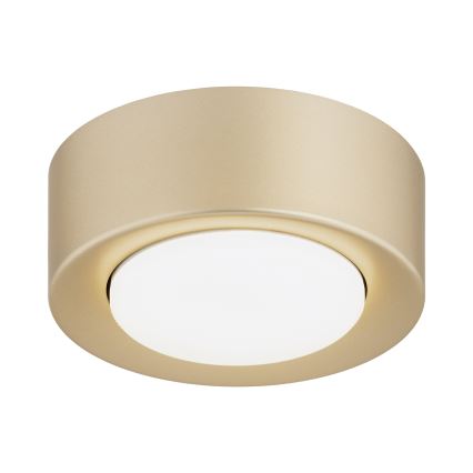 Argon 8903 - ELORA ceiling light 1xGX53/7W/230V Ø 11 cm gold