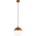 Argon 8998 - LIV Outdoor Cable Pendant Light 1xE27/15W/230V IP44 Brown