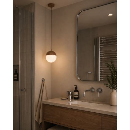 Argon 8998 - LIV Outdoor Cable Pendant Light 1xE27/15W/230V IP44 Brown