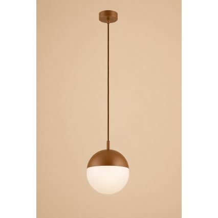 Argon 8998 - LIV Outdoor Cable Pendant Light 1xE27/15W/230V IP44 Brown
