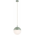 Argon 8999 - LIV Outdoor Cable Pendant Light 1xE27/15W/230V IP44 Green