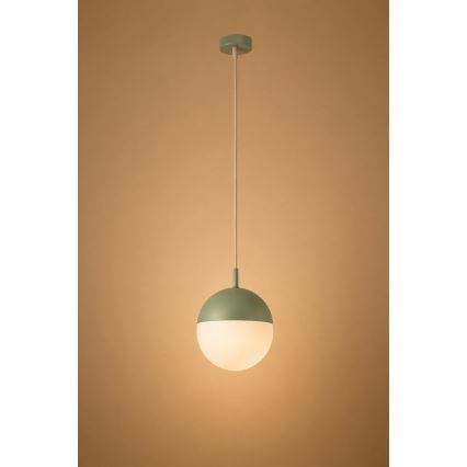 Argon 8999 - LIV Outdoor Cable Pendant Light 1xE27/15W/230V IP44 Green