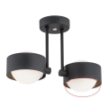 Argon - Replacement Glass Shade for MASSIMO PLUS G9 Chandelier
