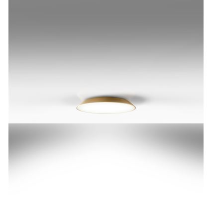 Artemide AR 0241320A - LED Ceiling light FEBE 4xLED/30W/230V